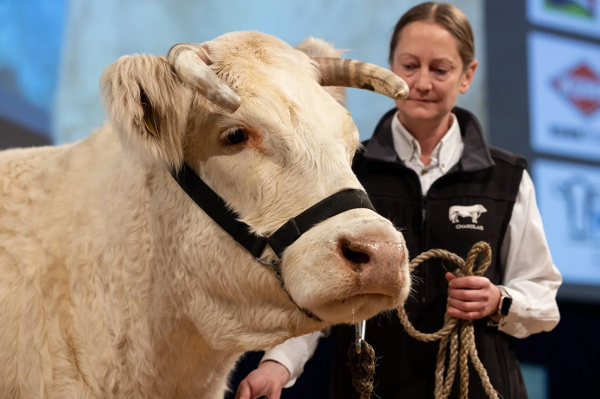 EuroTier Hannover almanya fuarı