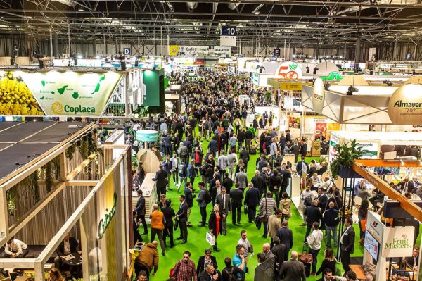 fruitattraction3